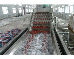 2019諸城鑫鼎機械隆重推出新產品龍蝦清洗機