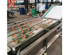 蔬菜清洗機(jī)風(fēng)干線具體操作步驟