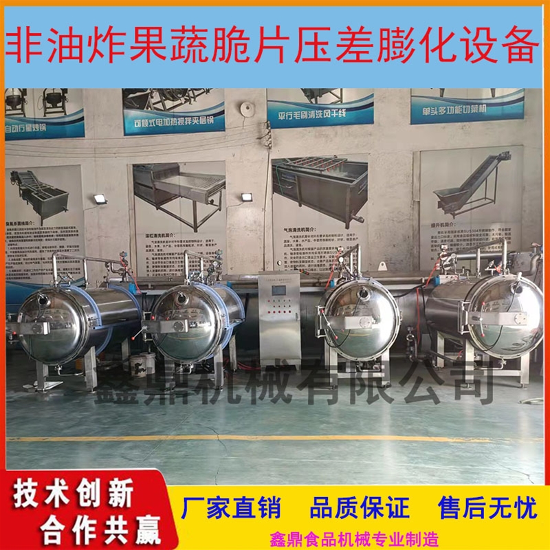 紅棗脆片非油炸真空膨化機(jī)干燥機(jī)