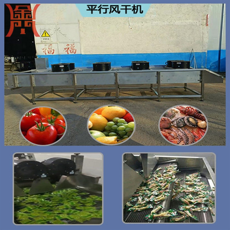 翻轉(zhuǎn)式調(diào)料包風(fēng)干機(jī) 全自動豆干風(fēng)干機(jī) ，網(wǎng)帶式魔芋豆腐腐竹風(fēng)干機(jī)