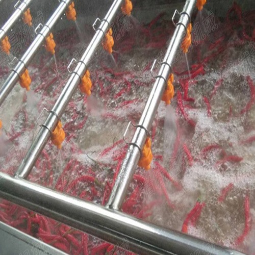小米椒辣椒清洗機(jī)