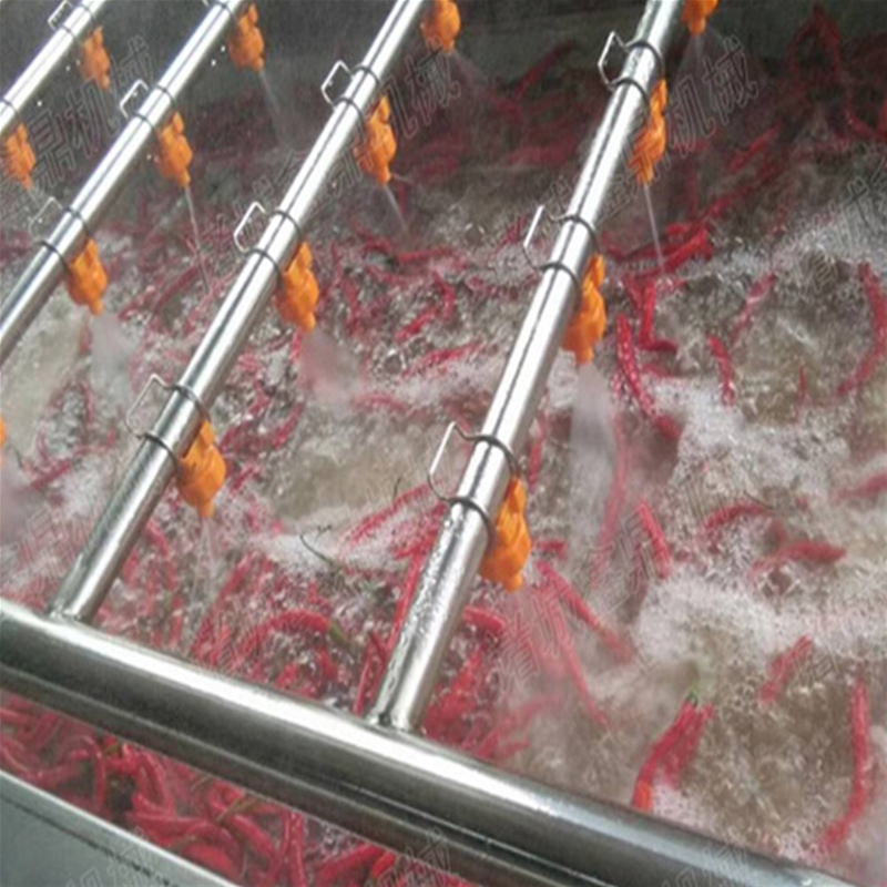 草莓清洗除雜生產(chǎn)線