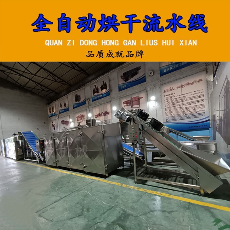 桂圓連續(xù)網(wǎng)帶式烘干機(jī)