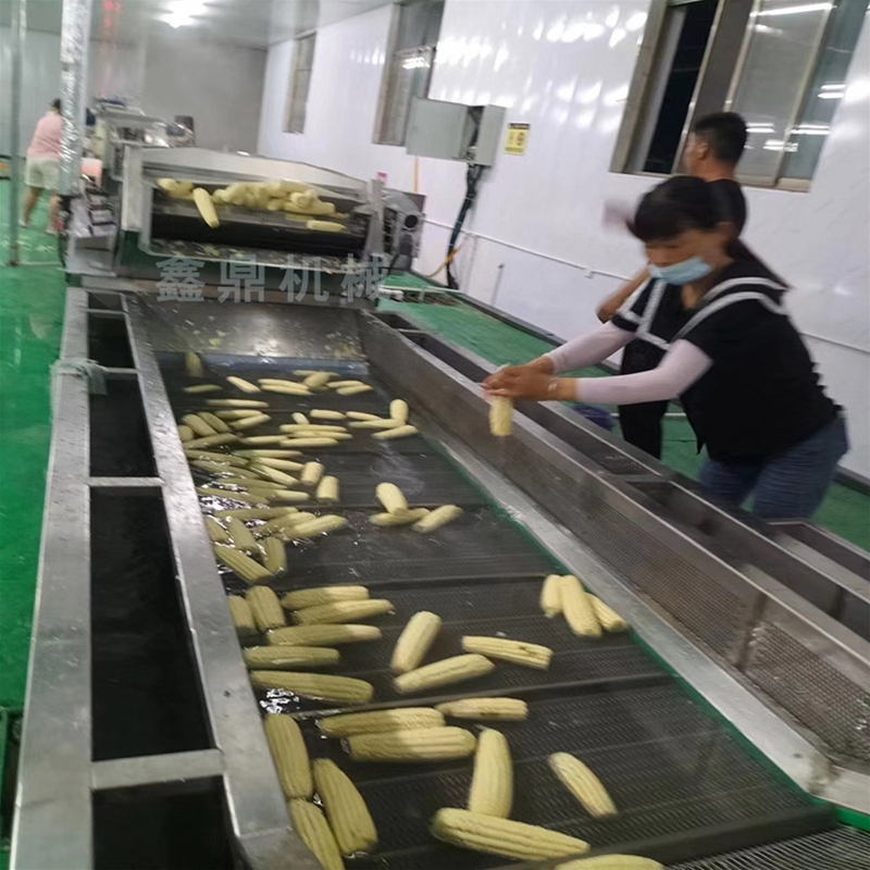 開袋即食玉米加工線