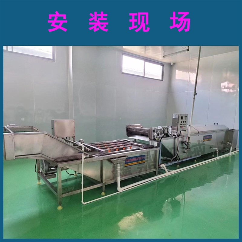 葉菜類(lèi)凈菜加工全套設(shè)備