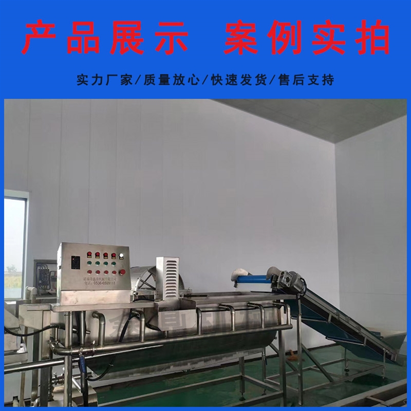 蔬菜丁漩渦式洗菜機(jī)瀝水機(jī)設(shè)備