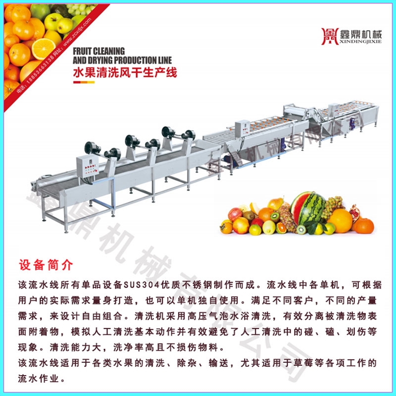 蔬菜水果凈菜旋流連續(xù)加工流水線設(shè)備