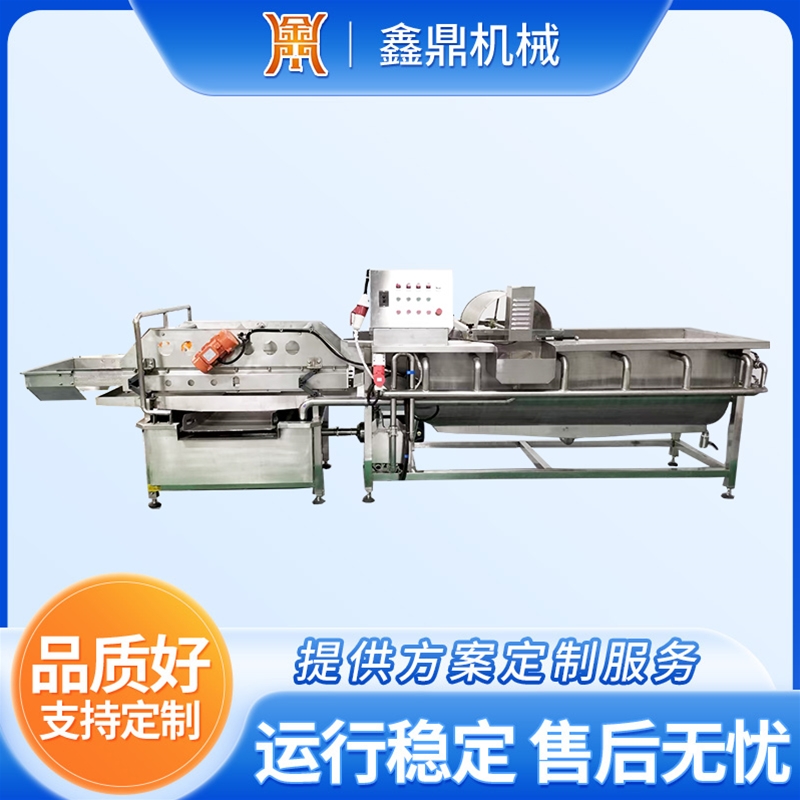 黃花菜渦流清洗機(jī)