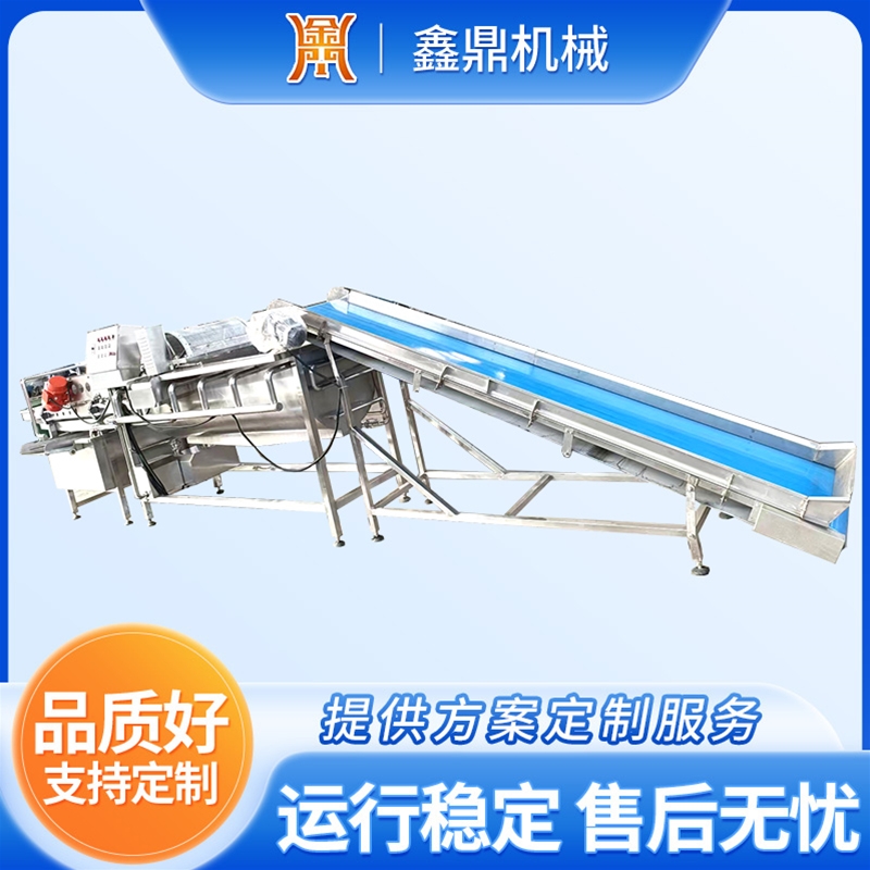 果蔬清洗風(fēng)干加工流水線設(shè)備